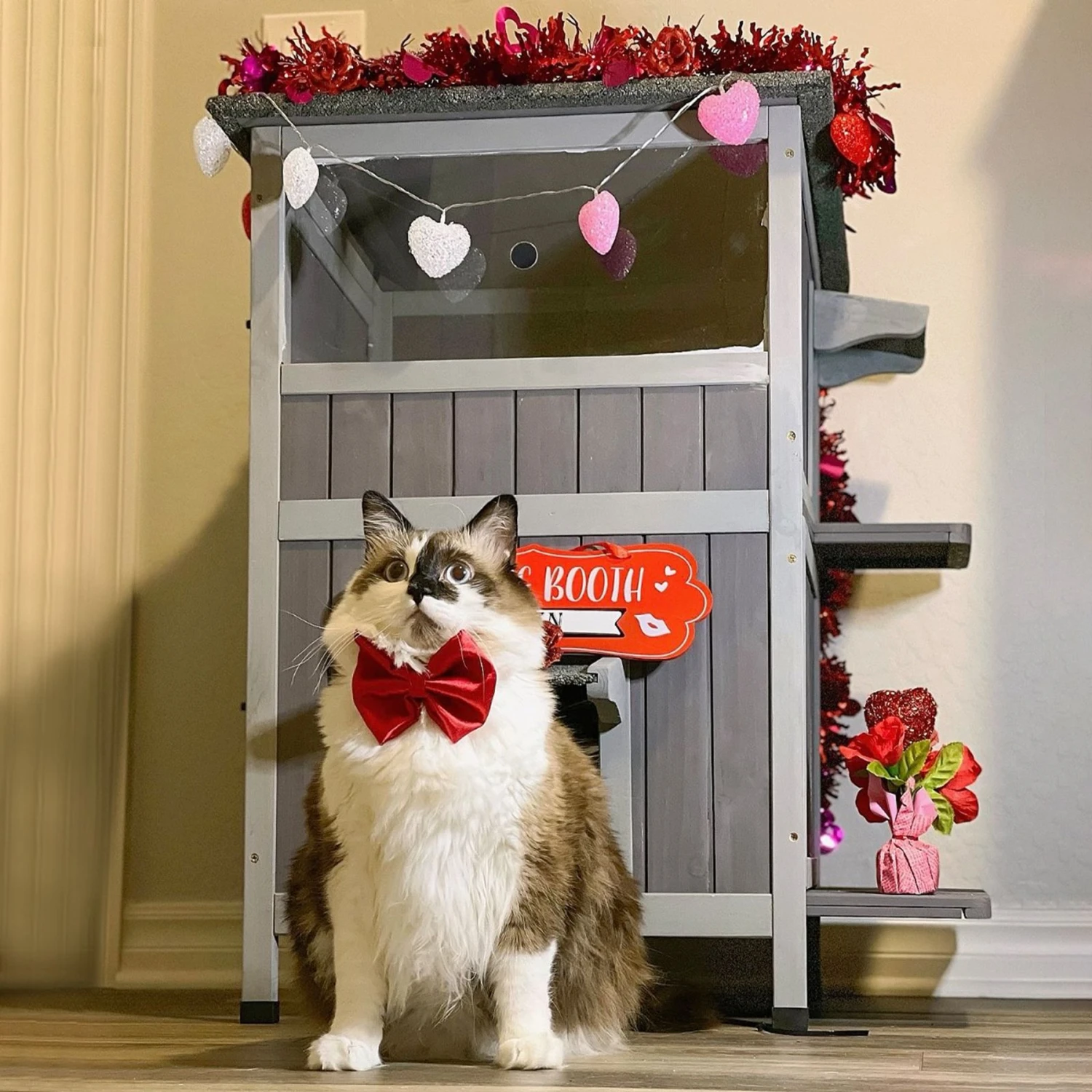 Aivituvin AIR14-1 Two Tier Wooden Cat House With Waterproof Roof & Door Flaps, Grey, Small 4 Aivituvin AIR14-1 Two Tier Wooden Cat House With Waterproof Roof & Door Flaps, Grey, Small - Image 2