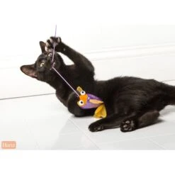 Hartz Just For Cats Gone Fishin' Cat Wand Toy With Catnip, Color Varies 11 Hartz Just For Cats Gone Fishin' Cat Wand Toy With Catnip, Color Varies -Pet Supplies Store 82858 PT3. AC SS1800 V1589229420