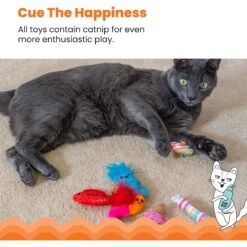 Catstages Kitty Sweet Treats Plush Catnip Cat Toys, Multicolor, 6 Count 12 Catstages Kitty Sweet Treats Plush Catnip Cat Toys, Multicolor, 6 Count -Pet Supplies Store 837462 PT3. AC SS1800 V1681836212