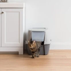 IRIS USA Enclosed Cat Litter Box With Front Door Flap & Scoop, Gray, Jumbo -Pet Supplies Store 846614 PT2. AC SS1800 V1683834899