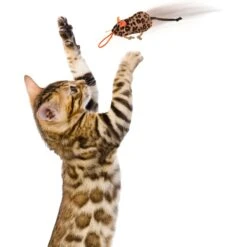 SmartyKat Instincts Safari Sneakers HappyNip Silvervine & Catnip Plush Cat Toys & Launcher Cat Toy, 3-pack & 1 Count -Pet Supplies Store 847206 PT5. AC SS1800 V1683728375