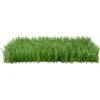 SmartyKat Instincts Meadow Mayhem Paper Grass Hide & Seek Cat Toy, 2-pack 2 SmartyKat Instincts Meadow Mayhem Paper Grass Hide & Seek Cat Toy, 2-pack -Pet Supplies Store 847238 MAIN. AC SS1800 V1683728311
