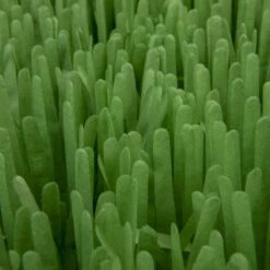 SmartyKat Instincts Meadow Mayhem Paper Grass Hide & Seek Cat Toy, 2-pack -Pet Supplies Store 847238 PT6. AC SS1800 V1683728572