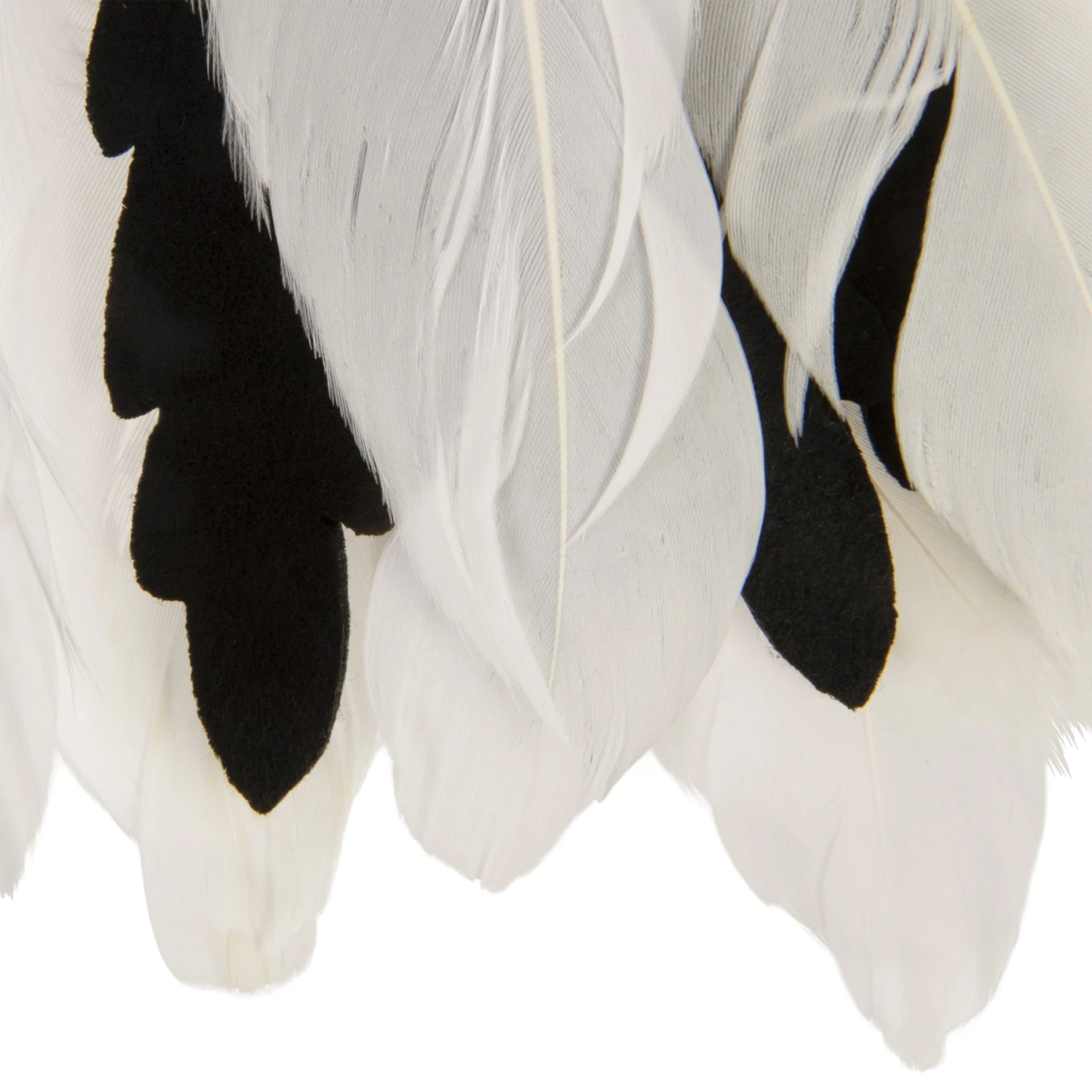 SmartyKat Instincts Zingy Zebra Feathered Toss & Chase With HappyNip Silvervine & Catnip Cat Toy 7 SmartyKat Instincts Zingy Zebra Feathered Toss & Chase With HappyNip Silvervine & Catnip Cat Toy - Image 5