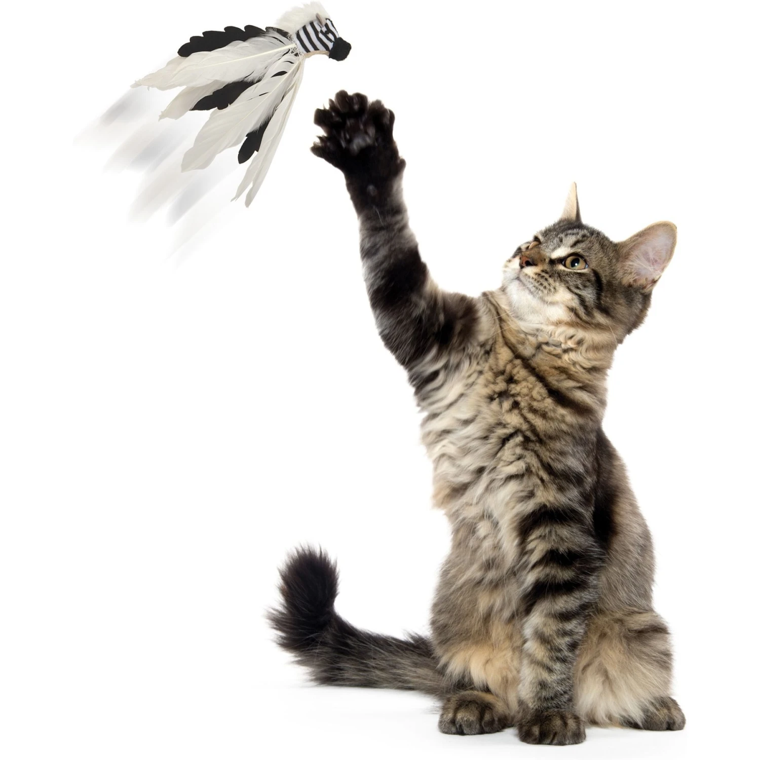 SmartyKat Instincts Zingy Zebra Feathered Toss & Chase With HappyNip Silvervine & Catnip Cat Toy 9 SmartyKat Instincts Zingy Zebra Feathered Toss & Chase With HappyNip Silvervine & Catnip Cat Toy - Image 7