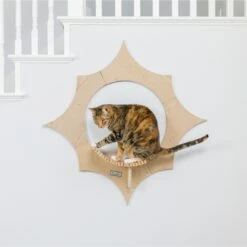 Armarkat Sun Shape Modern Wall-Mounted Wall Shelves Cat Furniture, Beige 16 Armarkat Sun Shape Modern Wall-Mounted Wall Shelves Cat Furniture, Beige -Pet Supplies Store 847718 PT5. AC SS1800 V1683834957