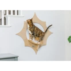 Armarkat Sun Shape Modern Wall-Mounted Wall Shelves Cat Furniture, Beige 18 Armarkat Sun Shape Modern Wall-Mounted Wall Shelves Cat Furniture, Beige -Pet Supplies Store 847718 PT7. AC SS1800 V1683836504