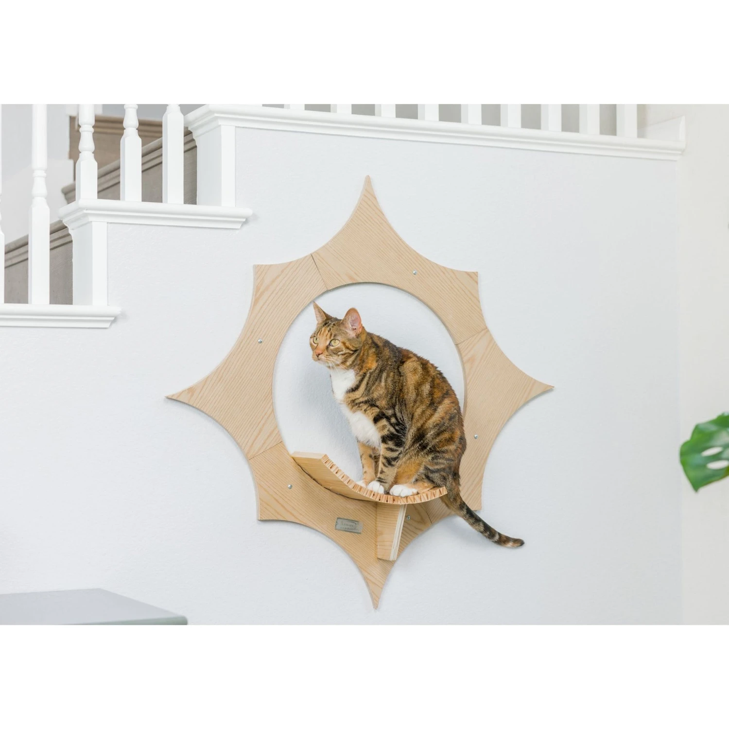 Armarkat Sun Shape Modern Wall-Mounted Wall Shelves Cat Furniture, Beige 11 Armarkat Sun Shape Modern Wall-Mounted Wall Shelves Cat Furniture, Beige - Image 9