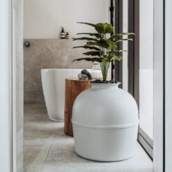 Bundle & Bliss Secret Litter Box Hidden Cat Litter Box Plant 13 Bundle & Bliss Secret Litter Box Hidden Cat Litter Box Plant -Pet Supplies Store 897430 PT2. AC SS1800 V1687891879