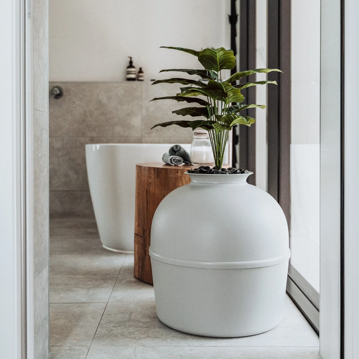 Bundle & Bliss Secret Litter Box Hidden Cat Litter Box Plant 5 Bundle & Bliss Secret Litter Box Hidden Cat Litter Box Plant - Image 3