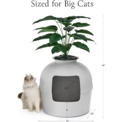 Bundle & Bliss Secret Litter Box Hidden Cat Litter Box Plant 16 Bundle & Bliss Secret Litter Box Hidden Cat Litter Box Plant -Pet Supplies Store 897430 PT5. AC SS1800 V1687891877
