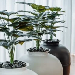 Bundle & Bliss Secret Litter Box Hidden Cat Litter Box Plant 19 Bundle & Bliss Secret Litter Box Hidden Cat Litter Box Plant -Pet Supplies Store 897430 PT8. AC SS1800 V1687891480