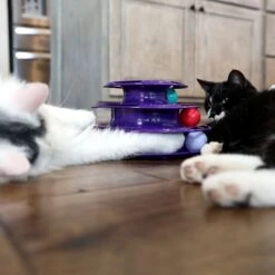 Quirky Kitty Three Layer Ball Track Cat Toy -Pet Supplies Store 900102 PT4. AC SS1800 V1689010871