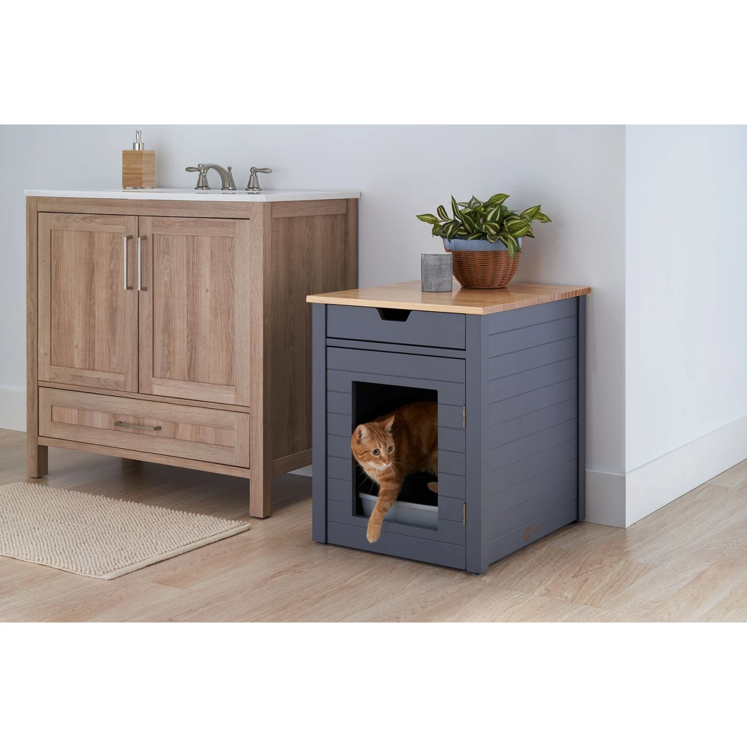 TRINITY 20-in Enclosure End Table With Drawer Cat Litter Box, Dark Grey, Small 3 TRINITY 20-in Enclosure End Table With Drawer Cat Litter Box, Dark Grey, Small