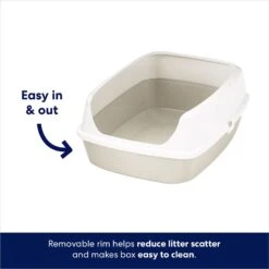 Frisco Open Top Cat Litter Box With Rim, Large & Frisco Plastic Litter Scooper With Caddy 14 Frisco Open Top Cat Litter Box With Rim, Large & Frisco Plastic Litter Scooper With Caddy -Pet Supplies Store 947526 PT3. AC SS1800 V1693600753