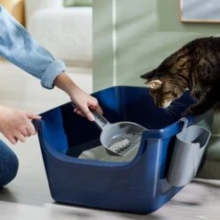 Frisco Open Top Cat Litter Box With Rim, Large & Frisco Plastic Litter Scooper With Caddy 16 Frisco Open Top Cat Litter Box With Rim, Large & Frisco Plastic Litter Scooper With Caddy -Pet Supplies Store 947526 PT5. AC SS1800 V1693924259