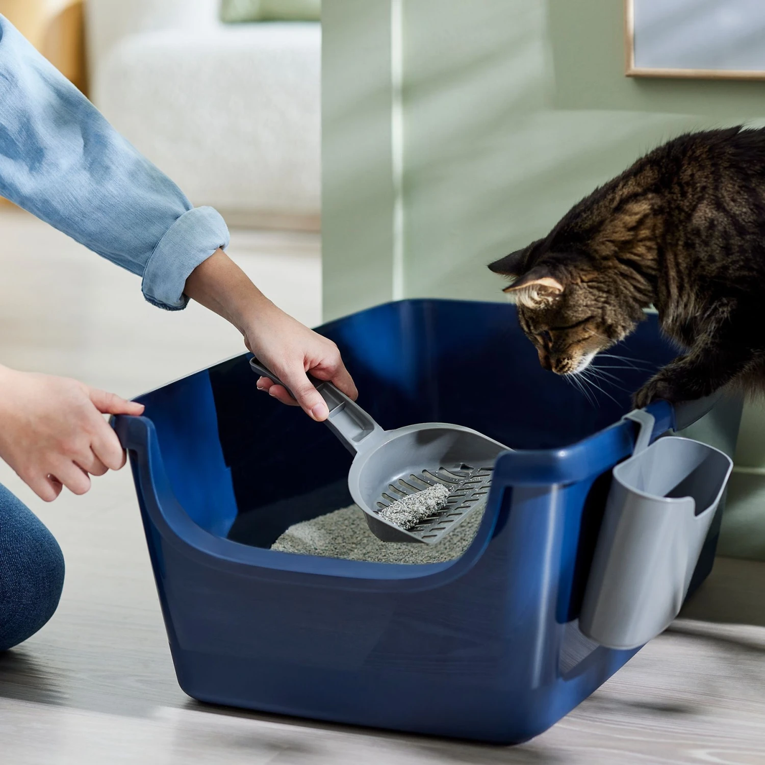 Frisco Open Top Cat Litter Box With Rim, Large & Frisco Plastic Litter Scooper With Caddy 8 Frisco Open Top Cat Litter Box With Rim, Large & Frisco Plastic Litter Scooper With Caddy - Image 6
