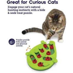 Nina Ottosson By Outward Hound Buggin' Out Puzzle & Play Cat Toy & Doc & Phoebe's Cat Co. Indoor Hunting Cat Feeder Kit -Pet Supplies Store 947542 PT4. AC SS1800 V1693925091