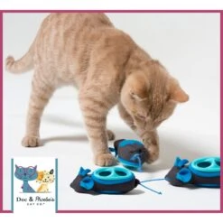 Nina Ottosson By Outward Hound Buggin' Out Puzzle & Play Cat Toy & Doc & Phoebe's Cat Co. Indoor Hunting Cat Feeder Kit -Pet Supplies Store 947542 PT8. AC SS1800 V1693600221