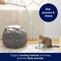 Frisco Fabric Teaser Wand Cat Toy & Frisco Bird With Feathers Teaser Wand Cat Toy With Catnip -Pet Supplies Store 962094 PT3. AC SS1800 V1694782977