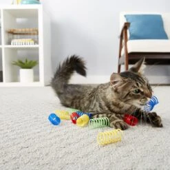 Frisco Colorful Springs Cat Toy & Frisco Bird With Feathers Teaser Wand Cat Toy With Catnip -Pet Supplies Store 962126 PT4. AC SS1800 V1694782923