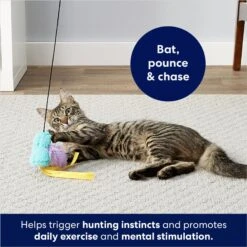 Frisco Colorful Springs Cat Toy & Frisco Bird With Feathers Teaser Wand Cat Toy With Catnip -Pet Supplies Store 962126 PT8. AC SS1800 V1694782921