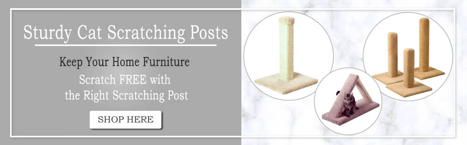 Pet Supplies Store -Pet Supplies Store fghjfgj