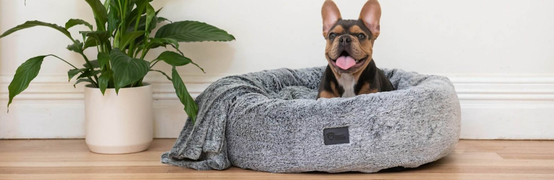 Pet Supplies Store -Pet Supplies Store fgjfgj